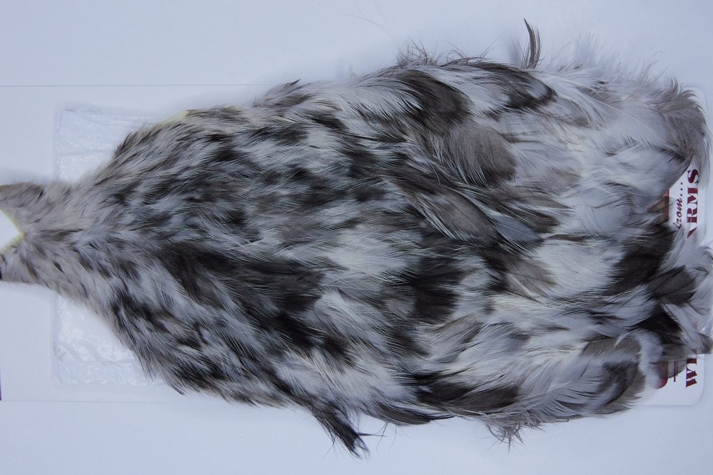 2720 Cog De Leon Hen Cape Variant