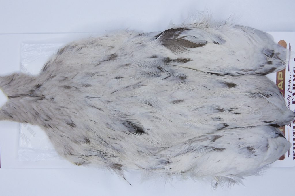 2721 Cog De Leon Hen Cape Variant