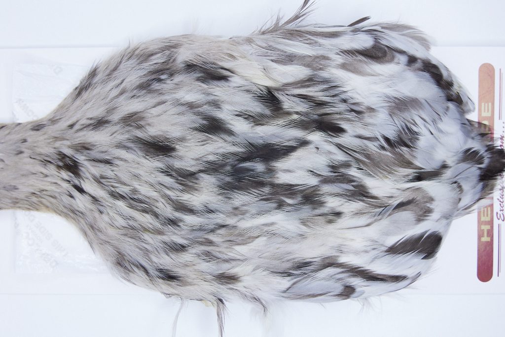 2722 Cog De Leon Hen Cape Variant