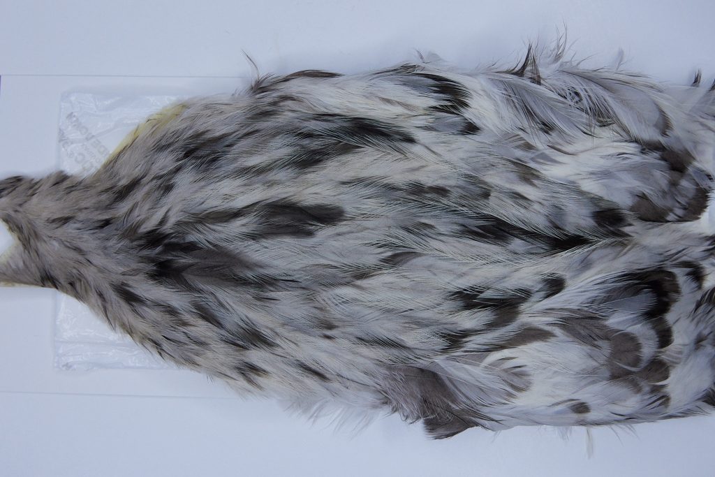 2723 Cog De Leon Hen Cape Variant