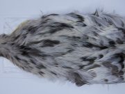 2723 Cog De Leon Hen Cape Variant