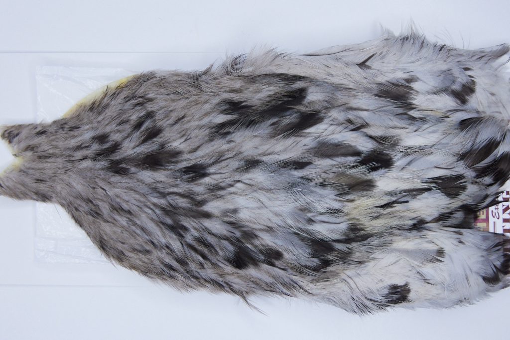 2724 Cog De Leon Hen Cape Variant