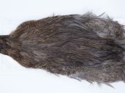 2726 Cog De Leon Hen Cape Variant