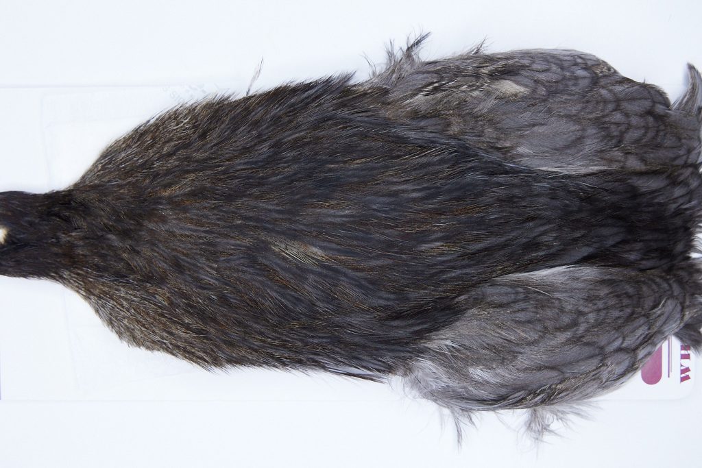 2734 Cog De Leon Hen Cape Variant