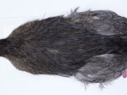 2734 Cog De Leon Hen Cape Variant