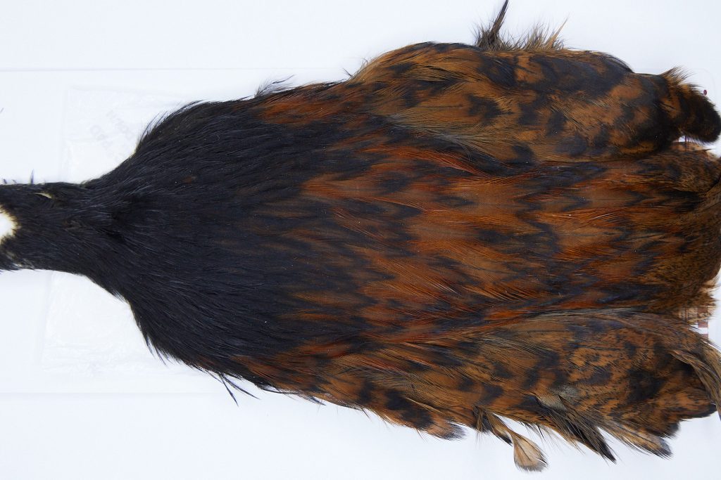 2741 Cog De Leon Hen Cape Variant