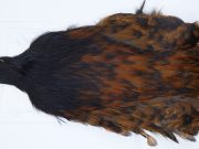 2741 Cog De Leon Hen Cape Variant