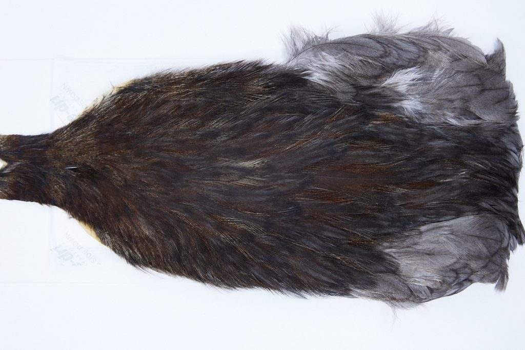 2742 Cog De Leon Hen Cape Variant