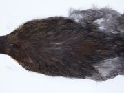 2742 Cog De Leon Hen Cape Variant