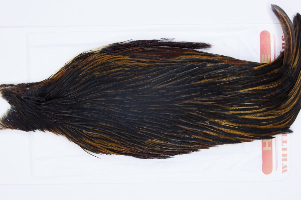 2897 Whiting Hen Cape Variant