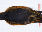 2898 Whiting Hen Cape Variant