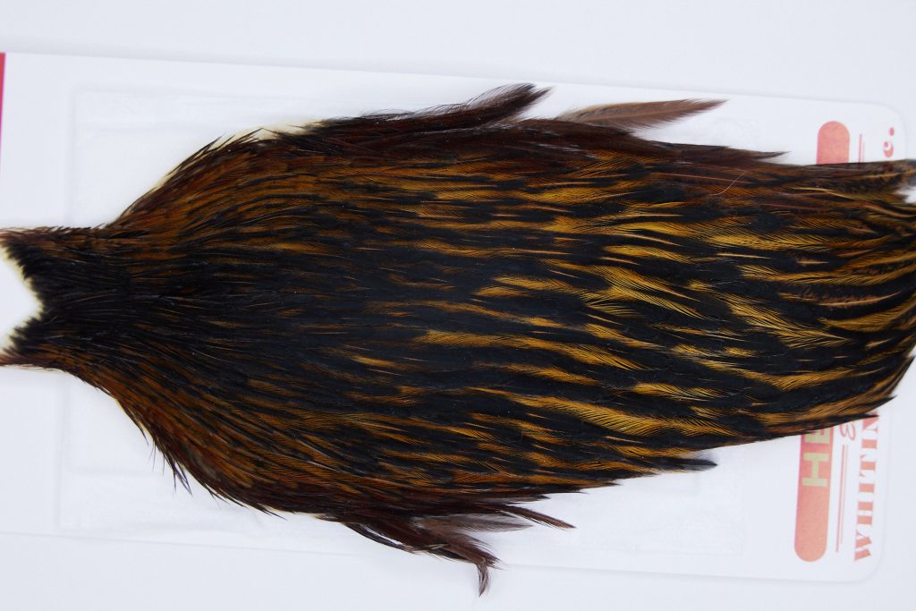 2899 Whiting Hen Cape Variant