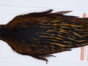 2899 Whiting Hen Cape Variant