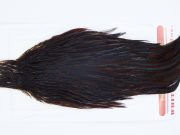 2904 Whiting Hen Cape Variant