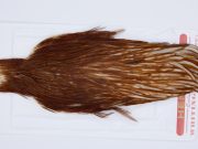 2909 Whiting Hen Cape Variant