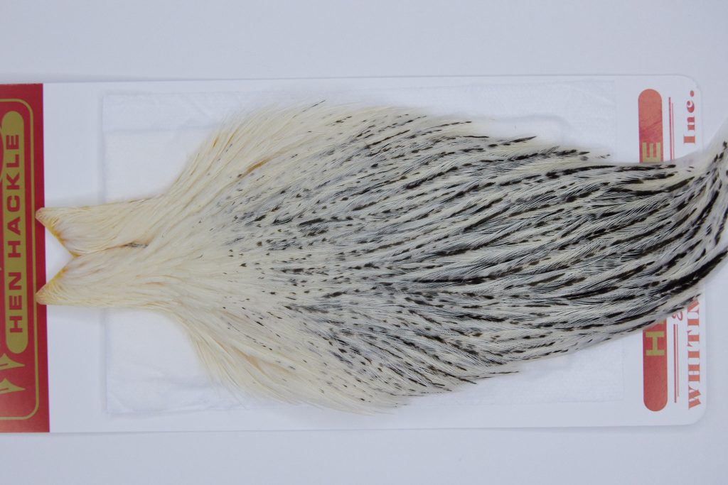 2922 Whiting Hen Cape Variant