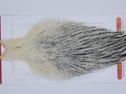 2922 Whiting Hen Cape Variant