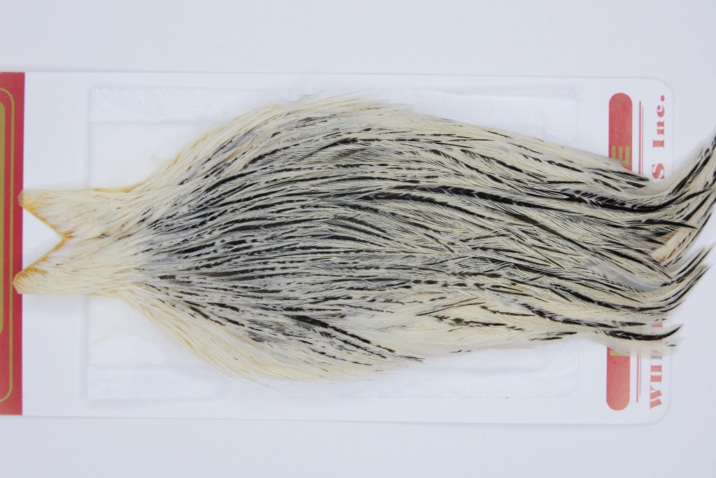 2923 Whiting Hen Cape Variant