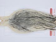 2923 Whiting Hen Cape Variant