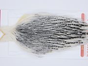 2925 Whiting Hen Cape Variant