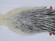 2928 Whiting Hen Cape Variant