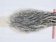 2929 Whiting Hen Cape Variant