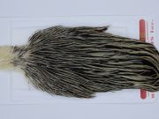 2943 Whiting Hen Cape Variant