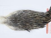 2945 Whiting Hen Cape Variant