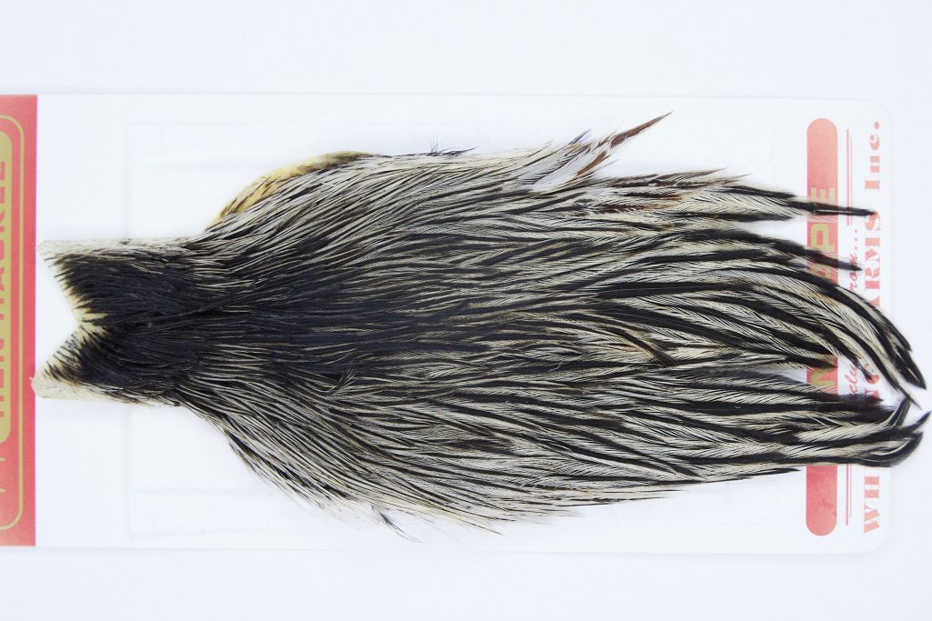 2946 Whiting Hen Cape Variant