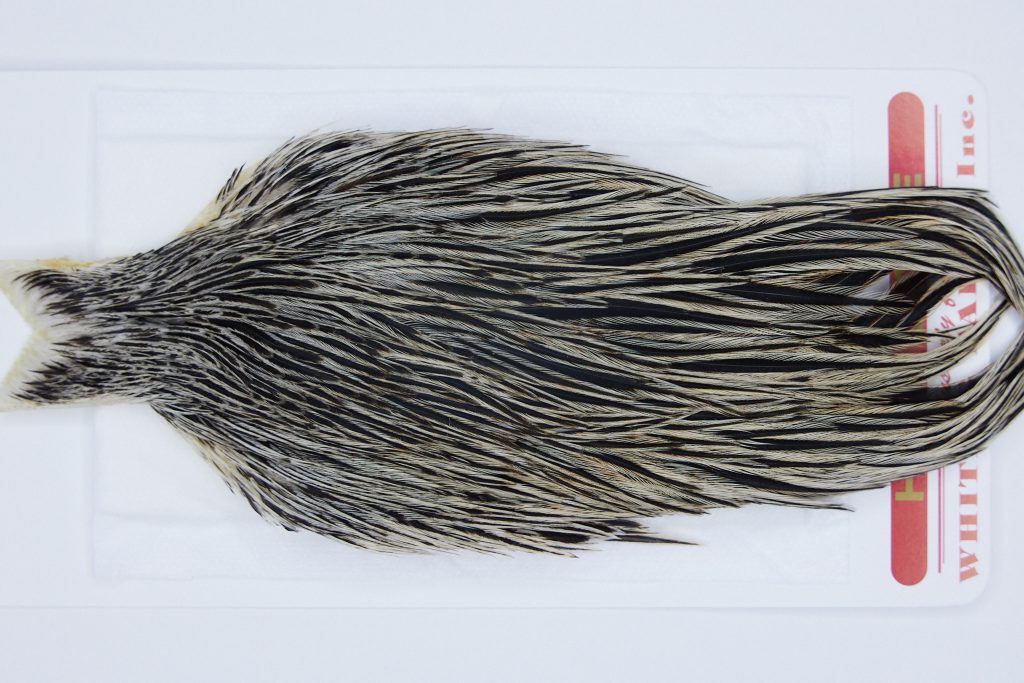 2948 Whiting Hen Cape Variant