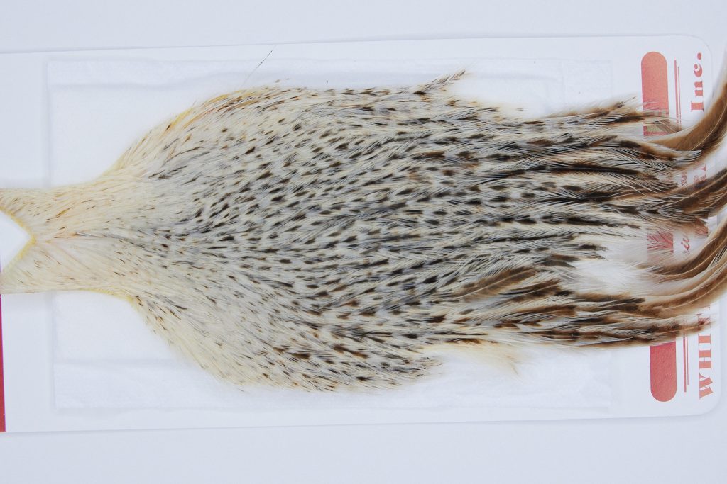 2949 Whiting Hen Cape Variant