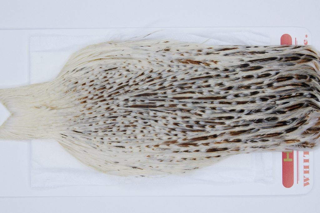 2951 Whiting Hen Cape Variant