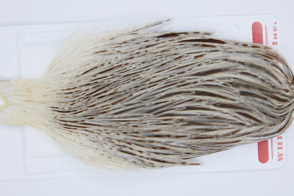 2952 Whiting Hen Cape Variant