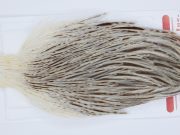 2952 Whiting Hen Cape Variant