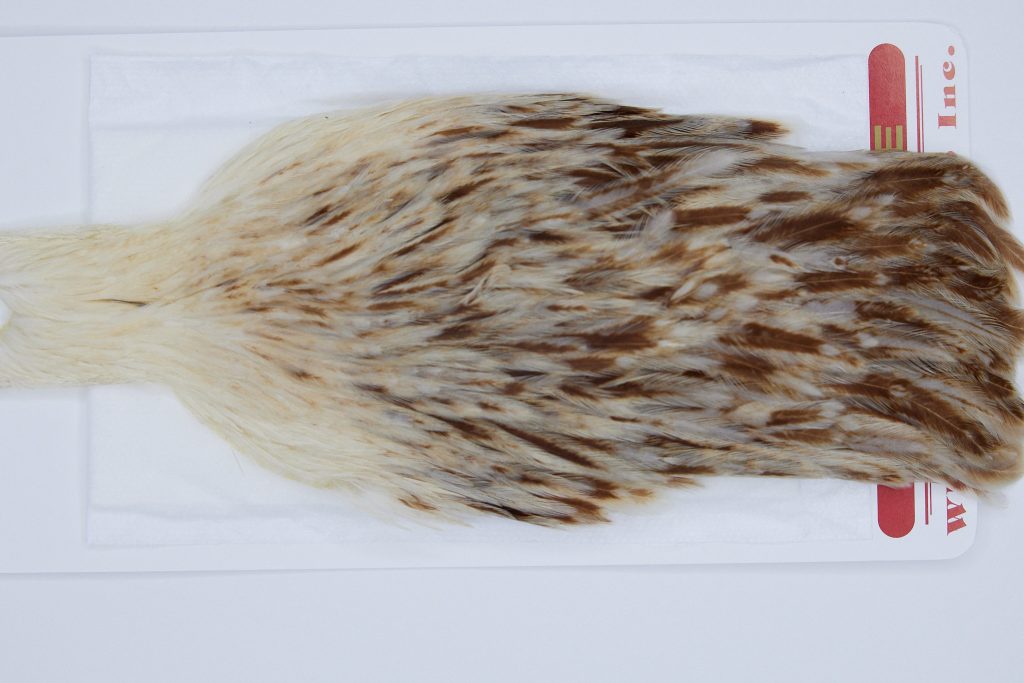 2953 Whiting Hen Cape Variant