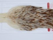 2953 Whiting Hen Cape Variant