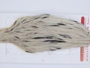 2954 Whiting Hen Cape Variant