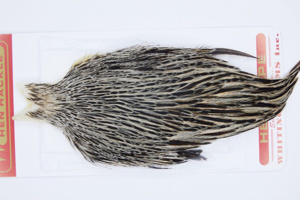 2957 Whiting Hen Cape Variant