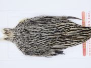 2957 Whiting Hen Cape Variant