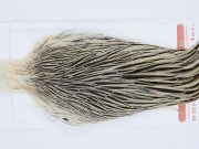 2958 Whiting Hen Cape Variant