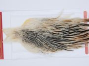 2960 Whiting Hen Cape Variant