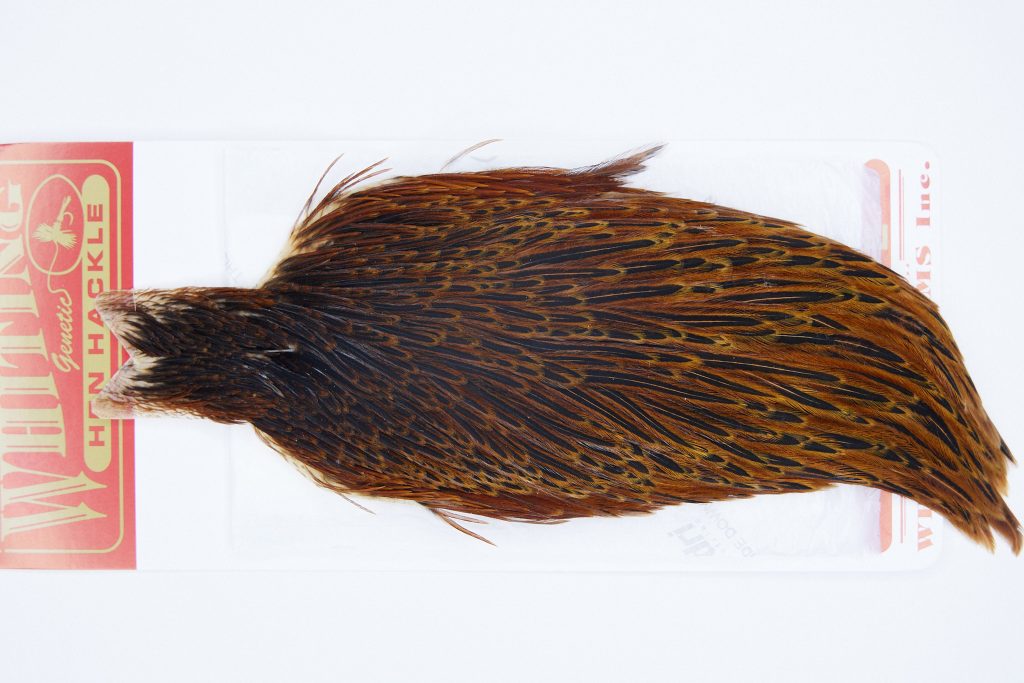 2965 Whiting Hen Cape Brown