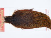 2965 Whiting Hen Cape Brown