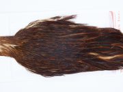 2967 Whiting Hen Cape Brown