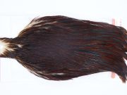 2968 Whiting Hen Cape Brown