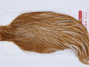 2978 Whiting Hen Cape Medium Ginger