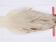 2982 Whiting Hen Cape Variant