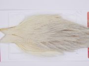 2984 Whiting Hen Cape Variant