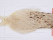 2985 Whiting Hen Cape Variant