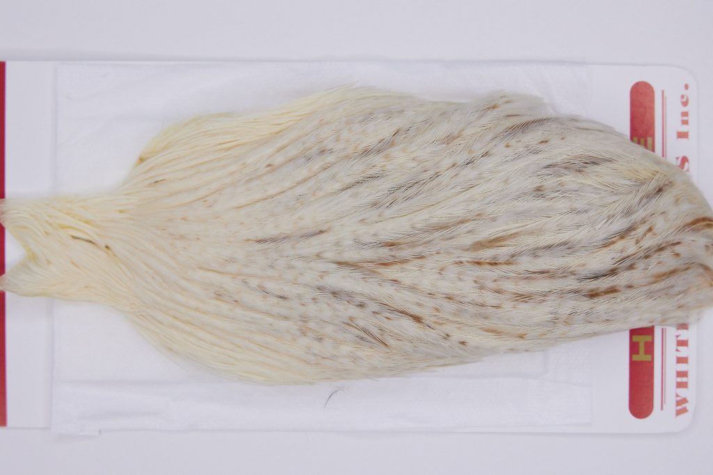 2986 Whiting Hen Cape Variant